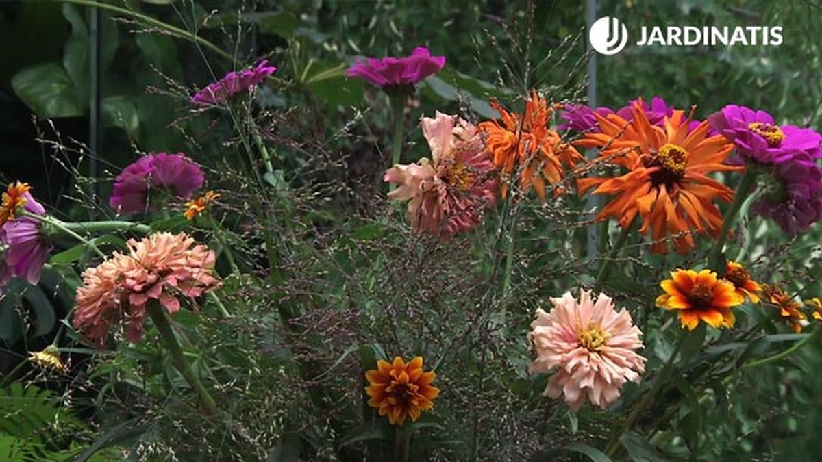 deco 748 jardin caracteristicas arreflo floral final zinnias