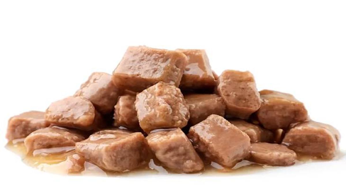 comida humeda para gatos 3 (1)