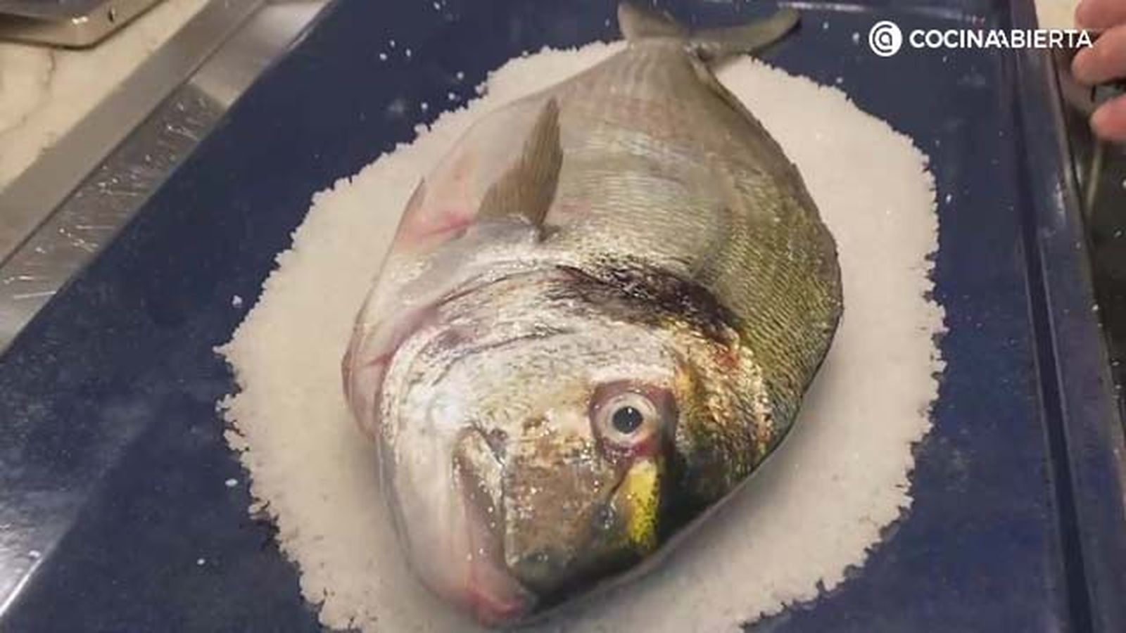 dorada a la sal 1 dorada a la sal 1