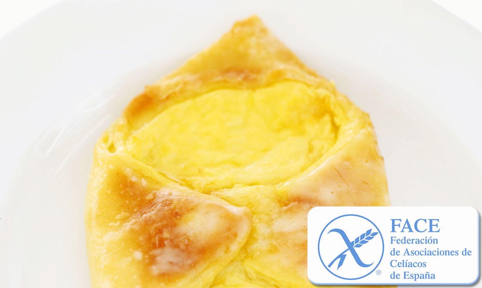 crema pastelera xl