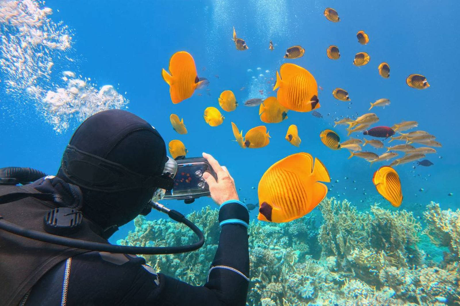 Se han enviado más de 6.700 fotografías provenientes de hasta 28 países.