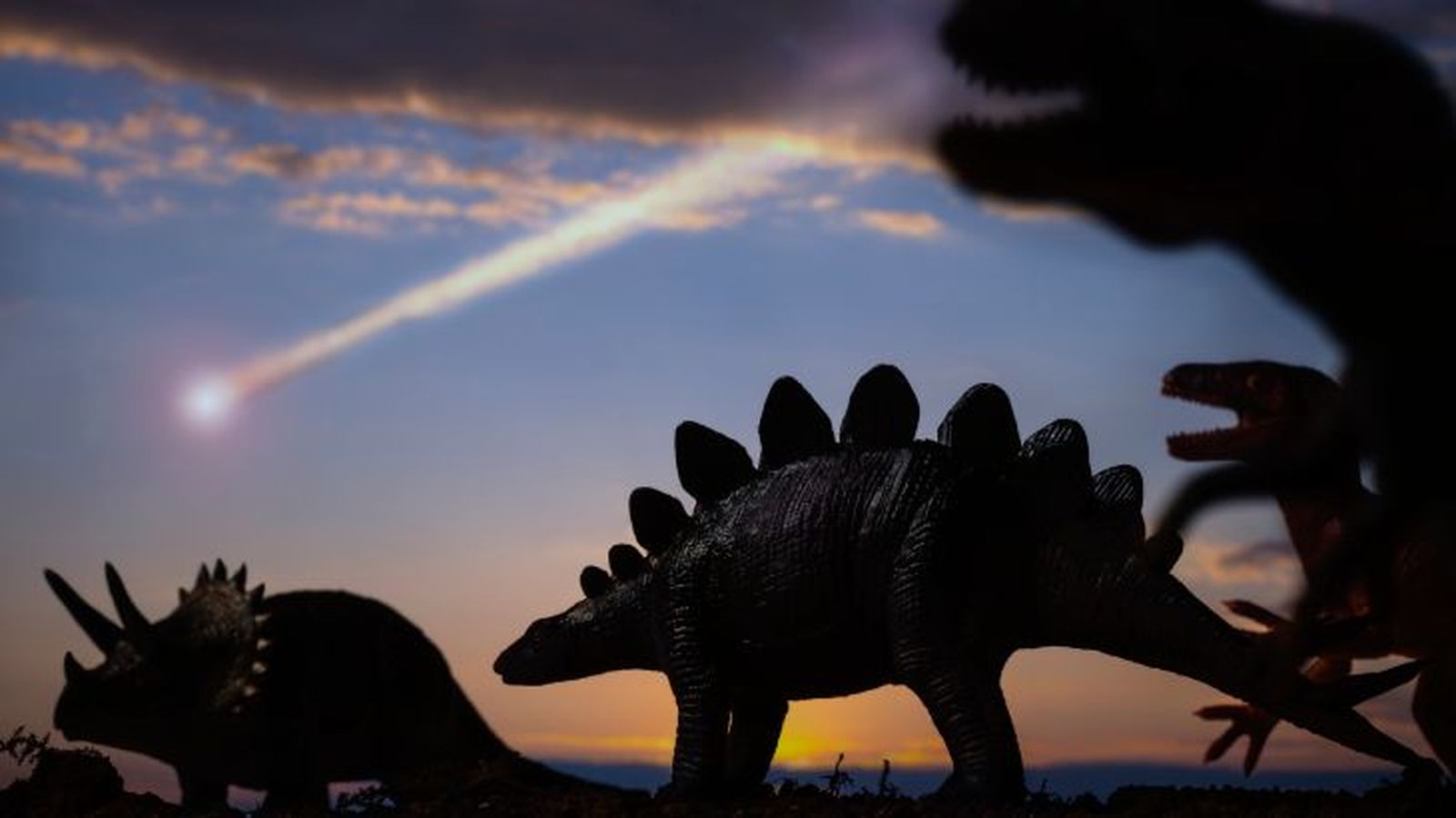 como eran los dinosaurios 9 como eran los dinosaurios 9