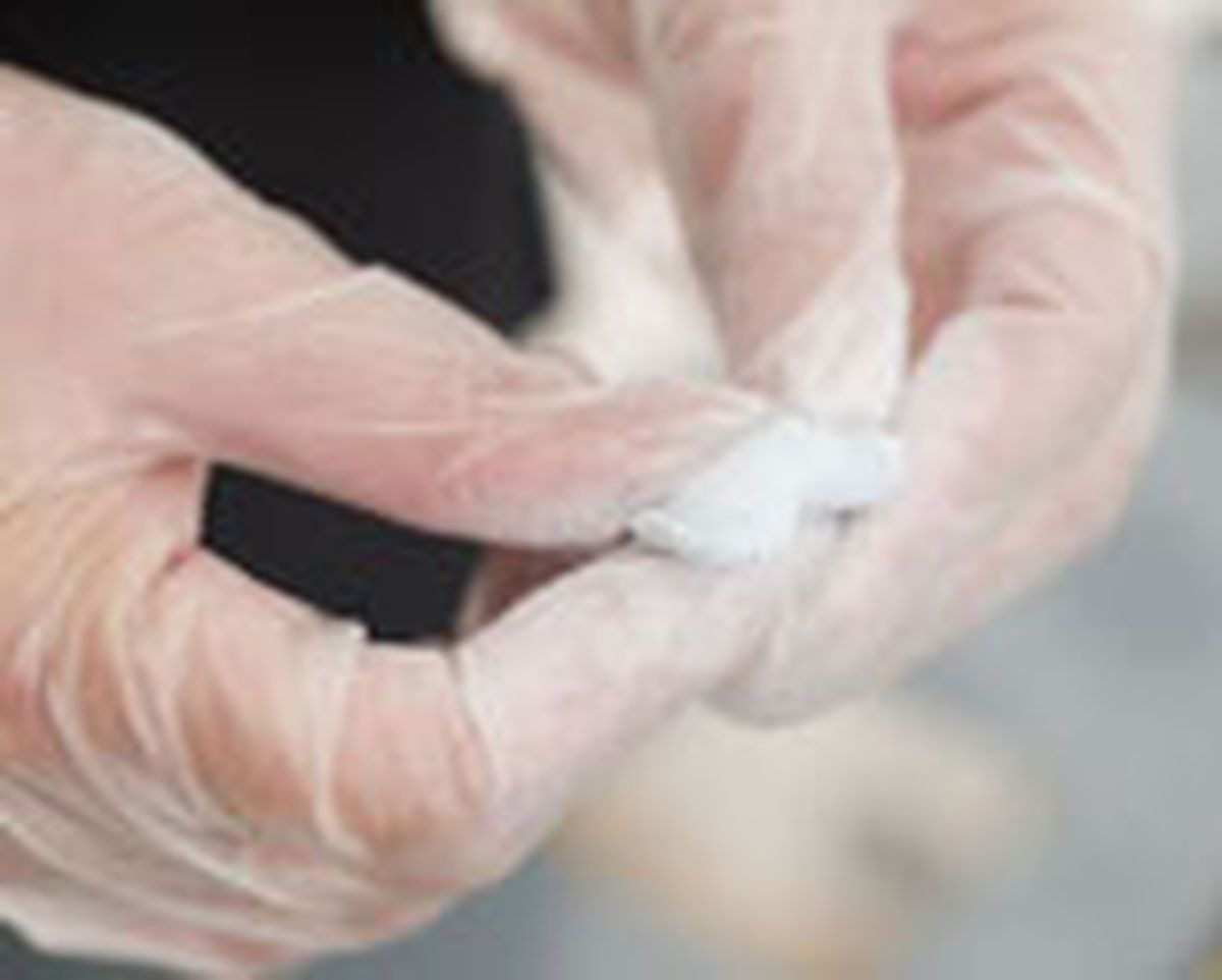 arreglo sujeciona apl p5