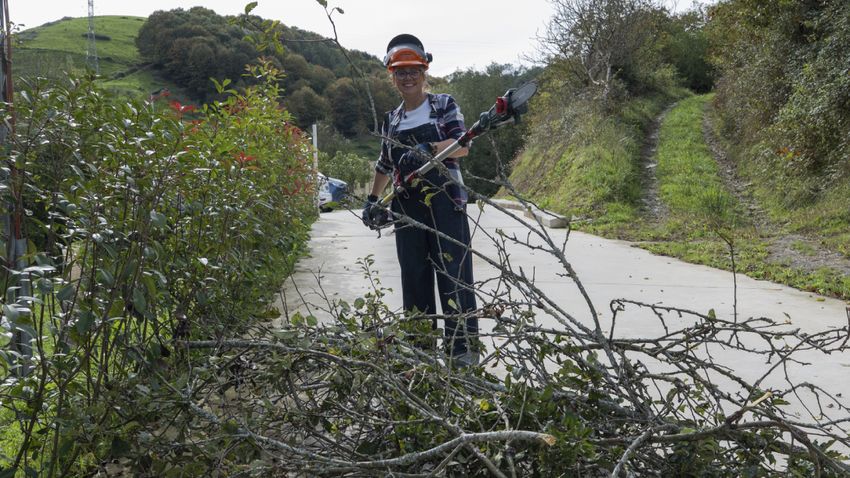 Una buena poda en altura facilita el mantenimiento del jardín y mejora el acceso a las zonas de paso.