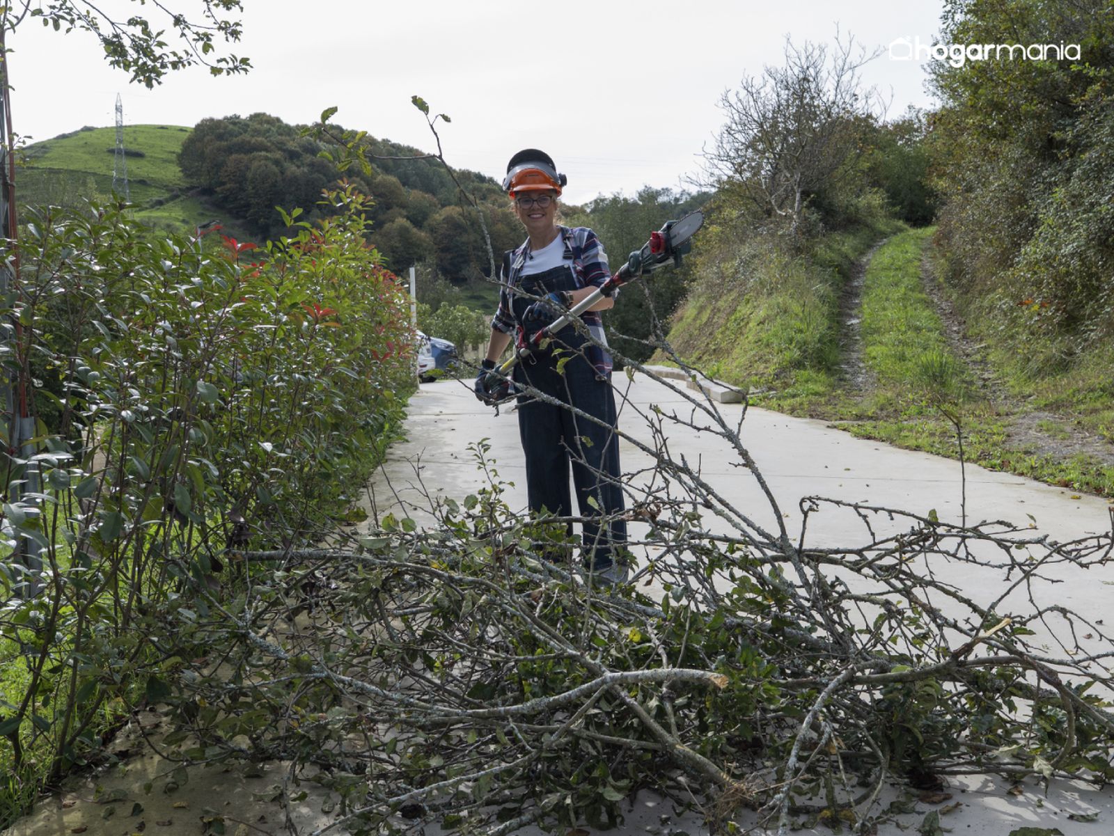 Una buena poda en altura facilita el mantenimiento del jardín y mejora el acceso a las zonas de paso.