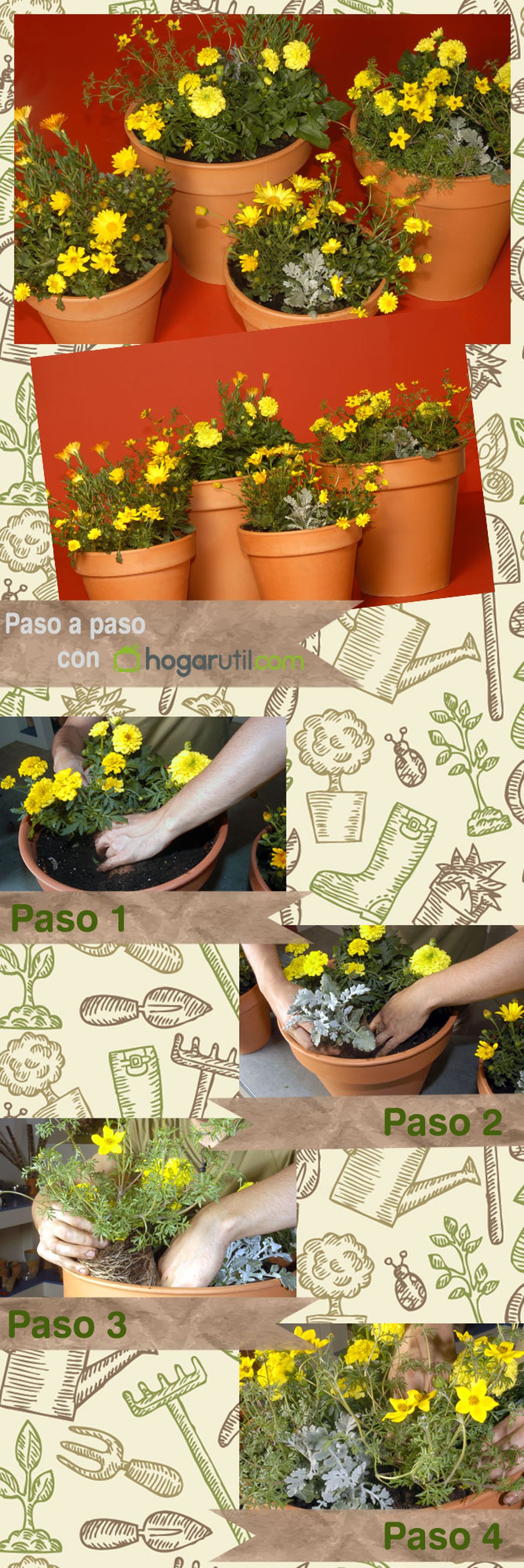 paso a paso composicion ama