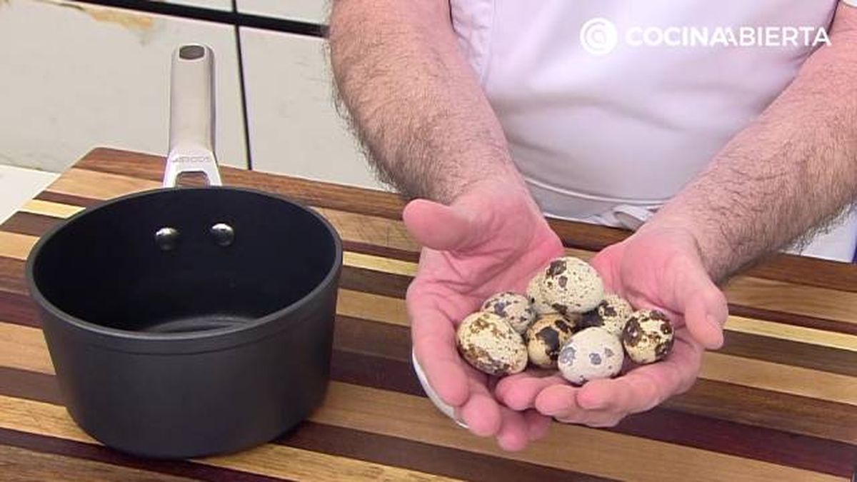 karl7137 ensalada espinacas p1