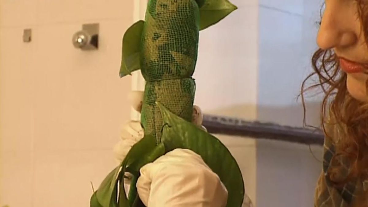 brico 031 construir tutor guia para las plantas paso 7