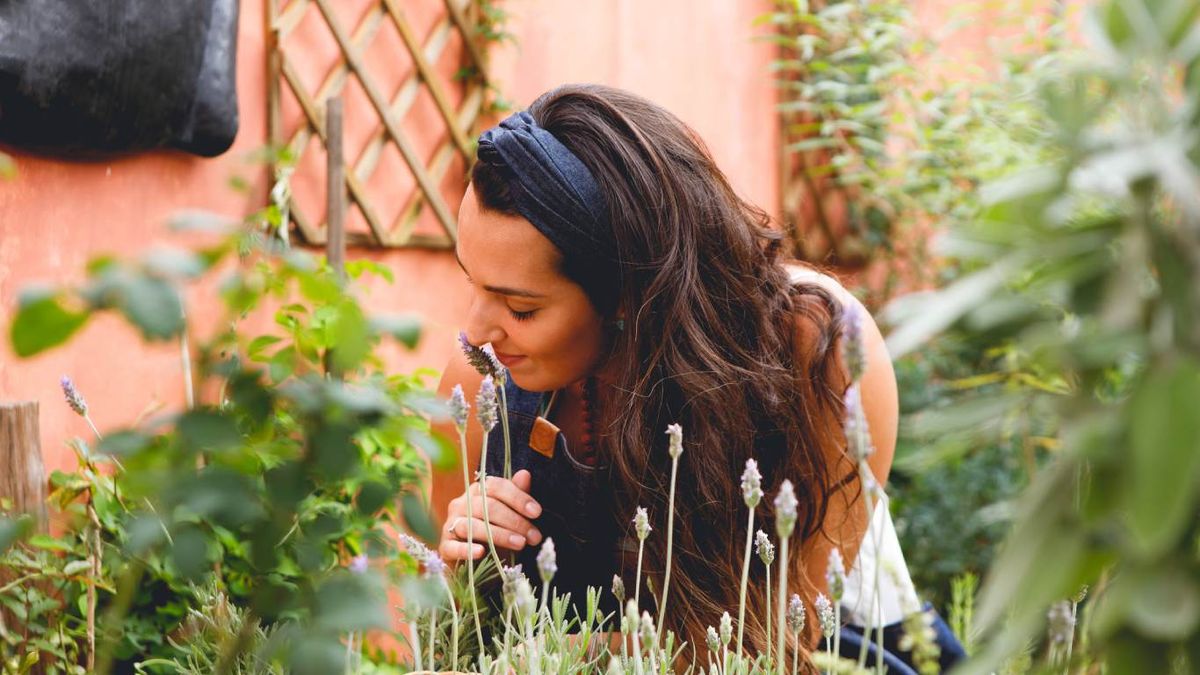 Disfrutar de un jardín aromático en el hogar es una experiencia muy agradable.