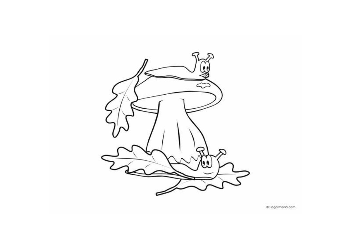 Dibujo de otoño de una seta para colorear.