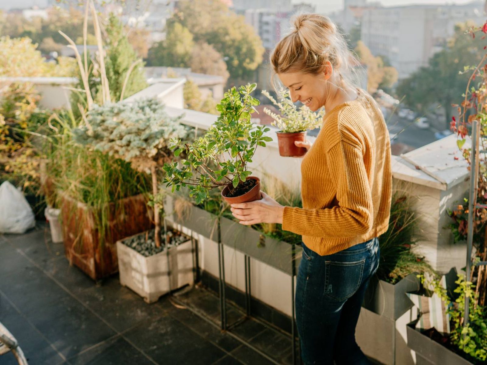Analiza si las plantas que quieres se adaptan bien a tu terraza.