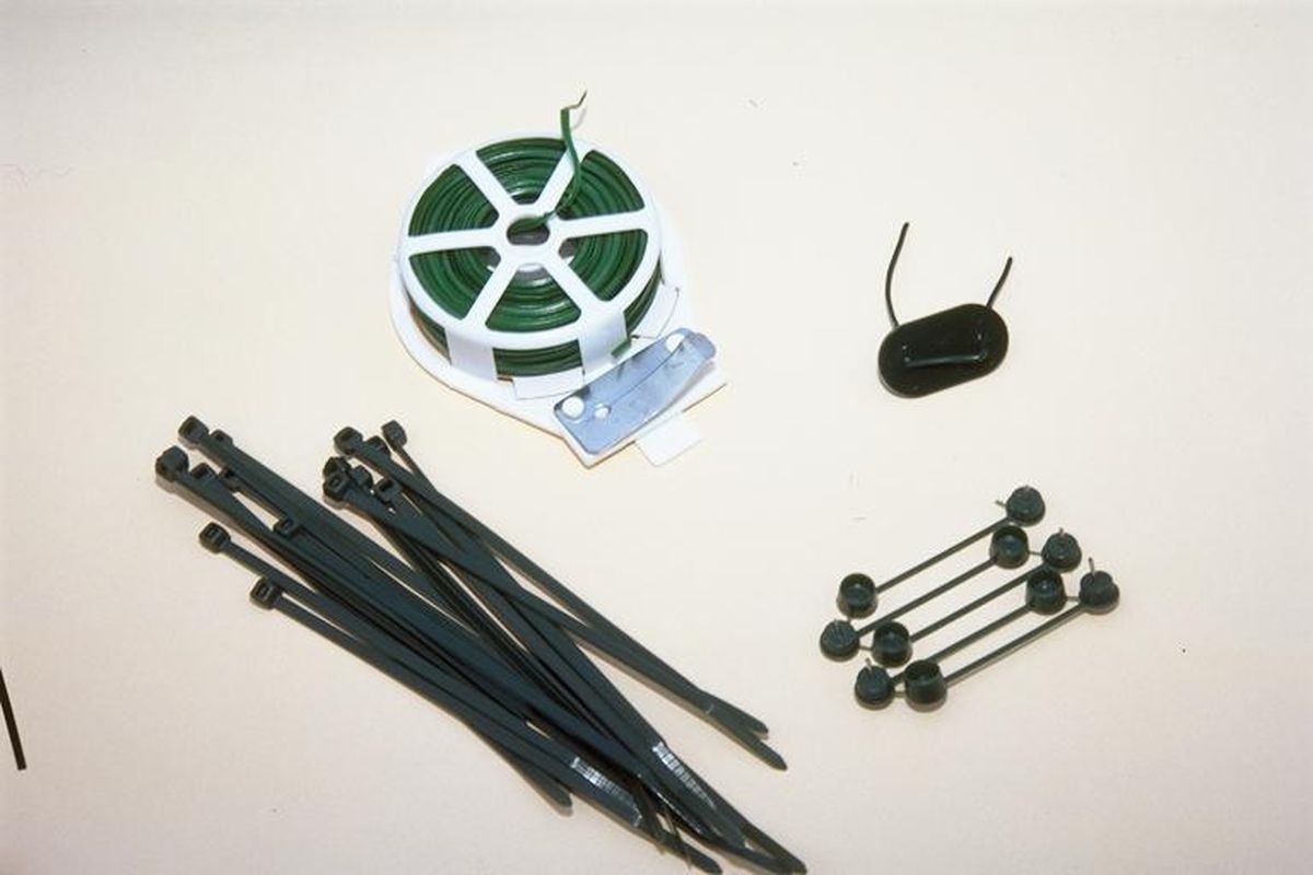 Amarres para plantas trepadoras paso 1