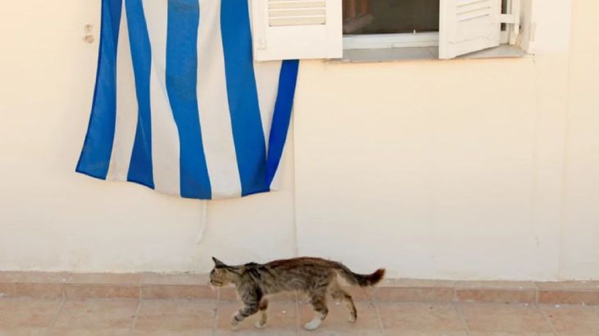 nombres griegos para gatos 5