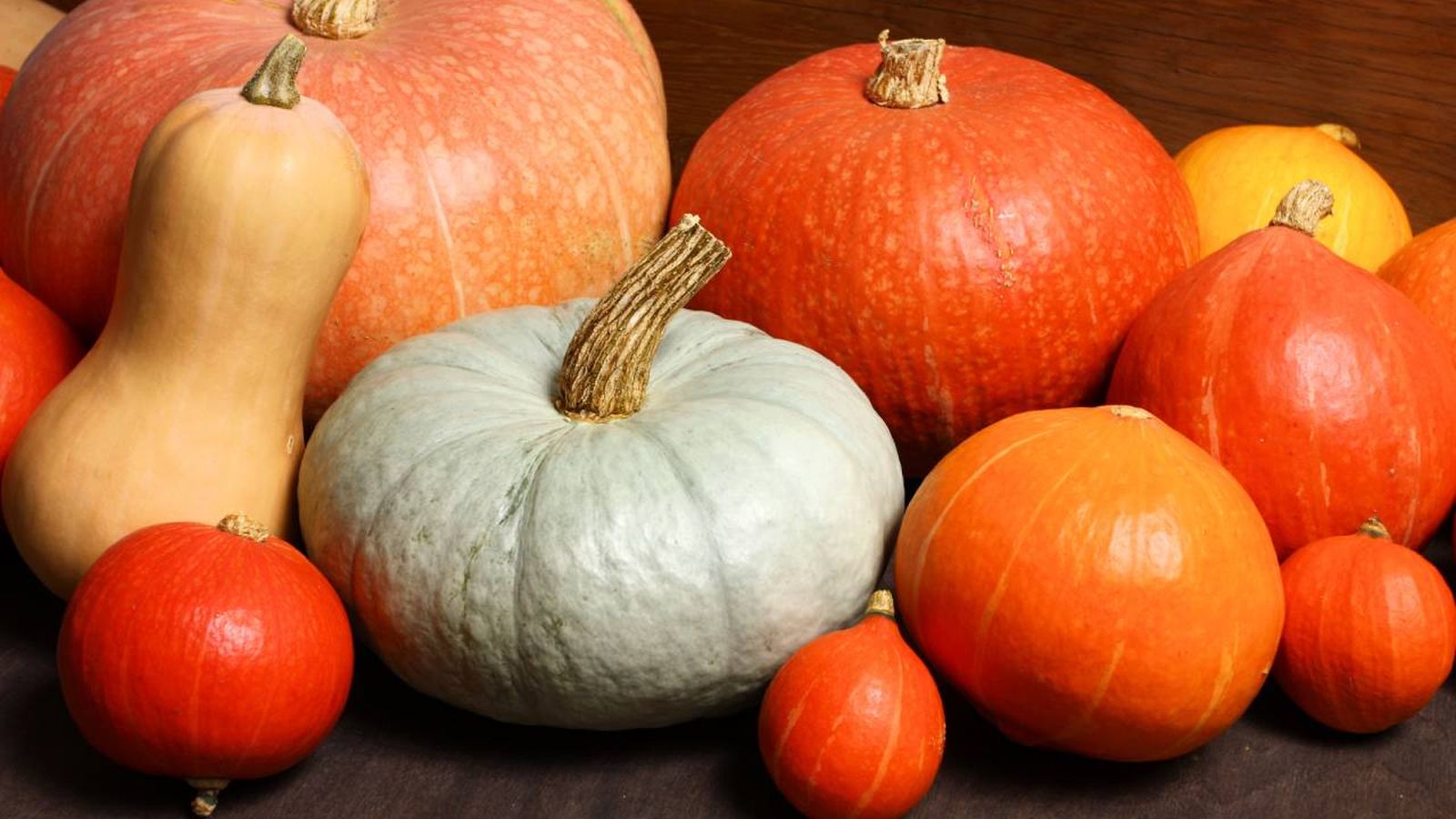 Tipos de calabaza