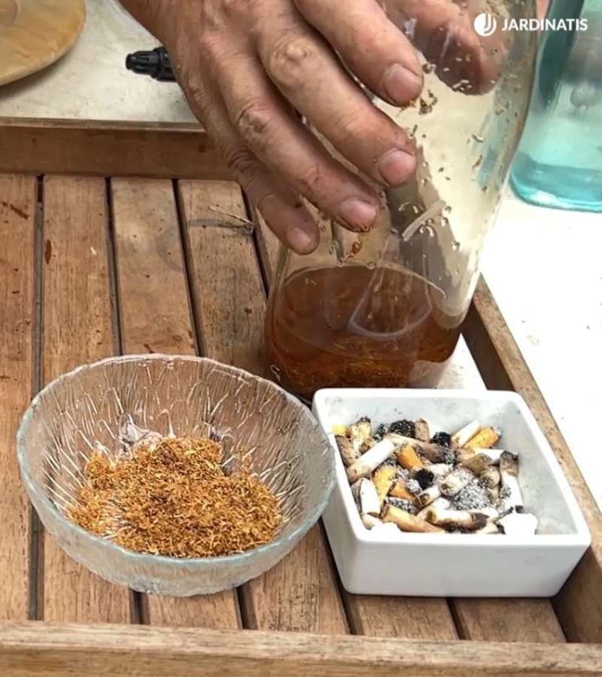 El alcohol de tabaco protege a las plantas