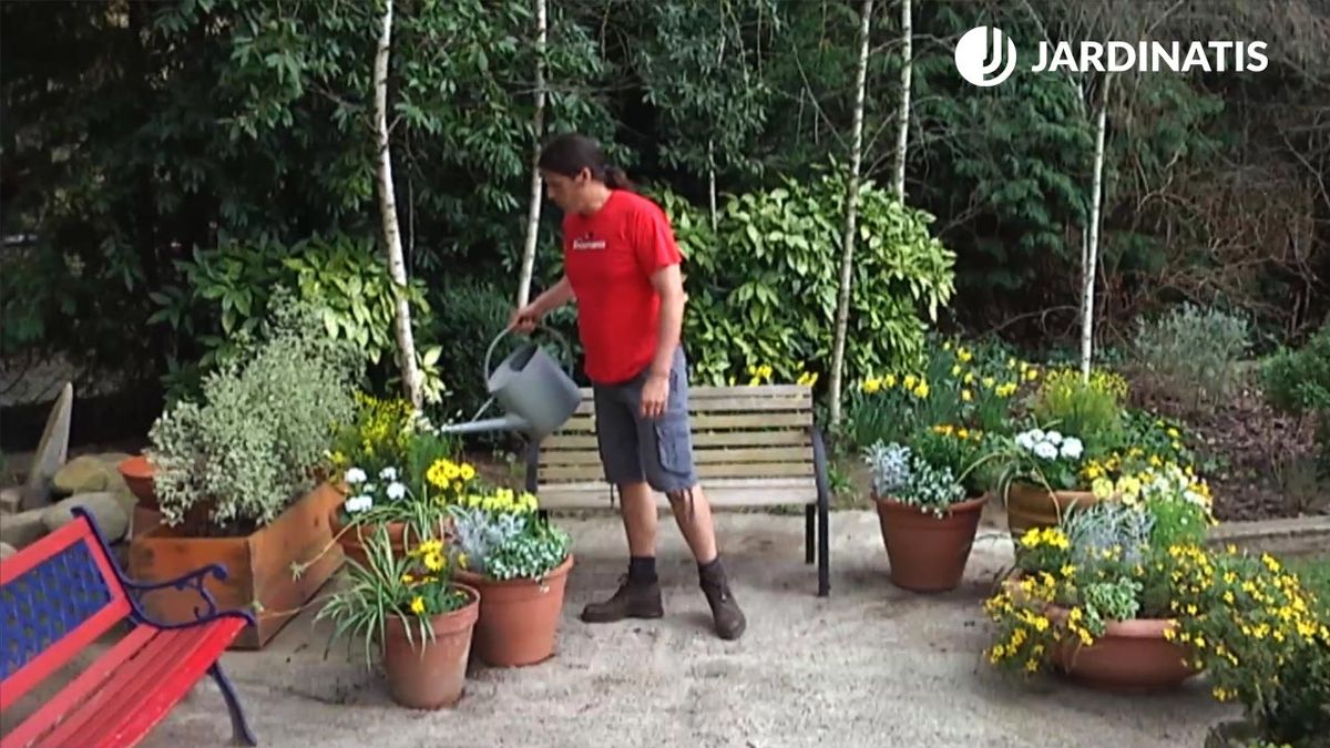 brico 745 jardin flor temporada amarillo blanco xl