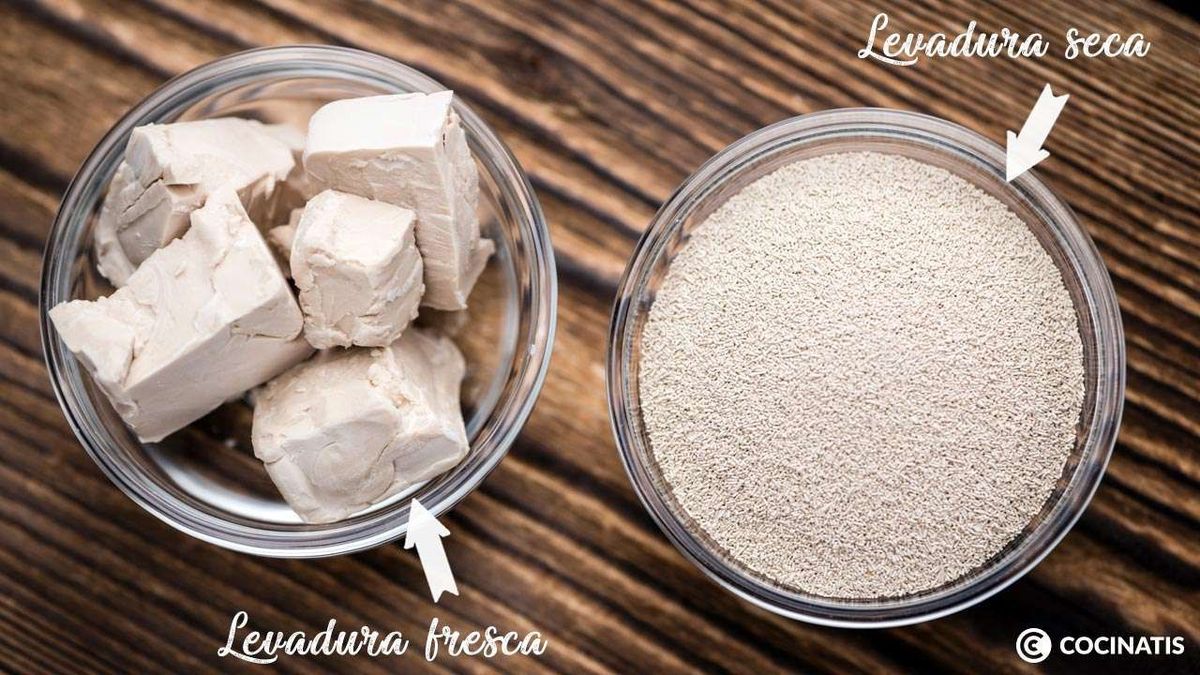 Levadura para hacer pan