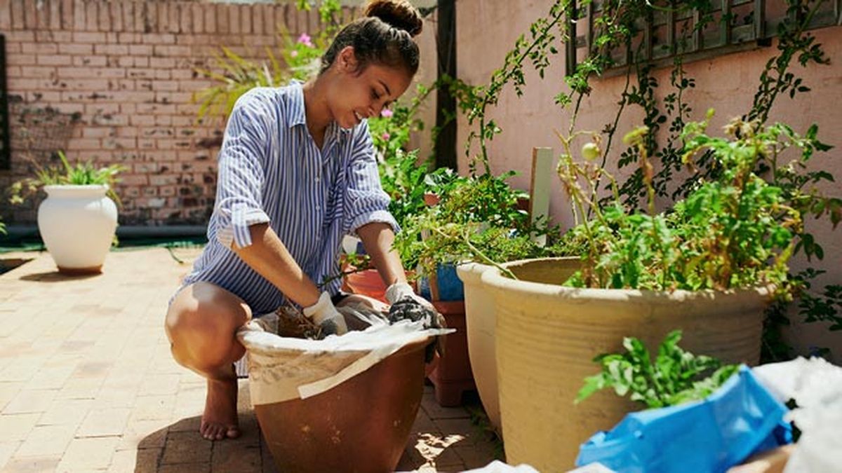 usos beneficios propiedades bicarbonato sodio jardineria elimina hongos plantas