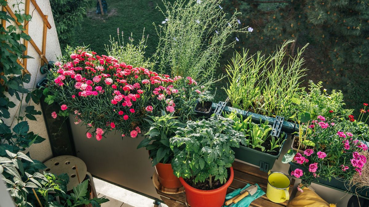 La luz tiene diferentes calidades