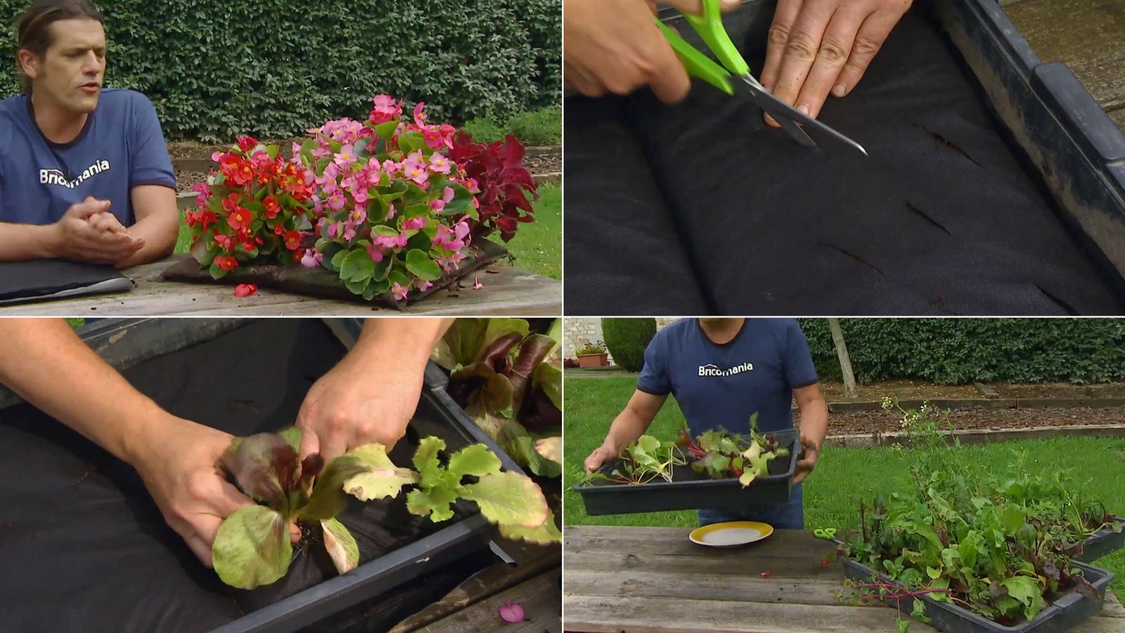 Huerto urbano en sacas