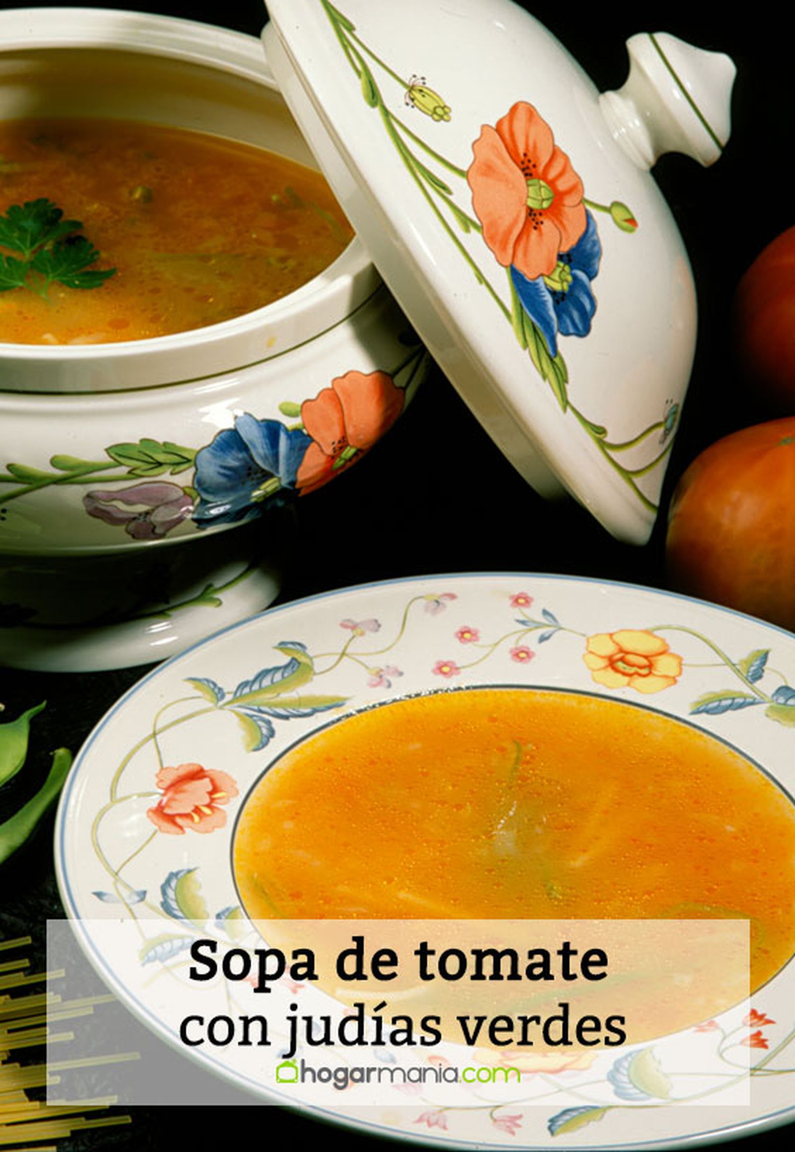 041 1 sopa tomate judias verdes pin 041 1 sopa tomate judias verdes pin