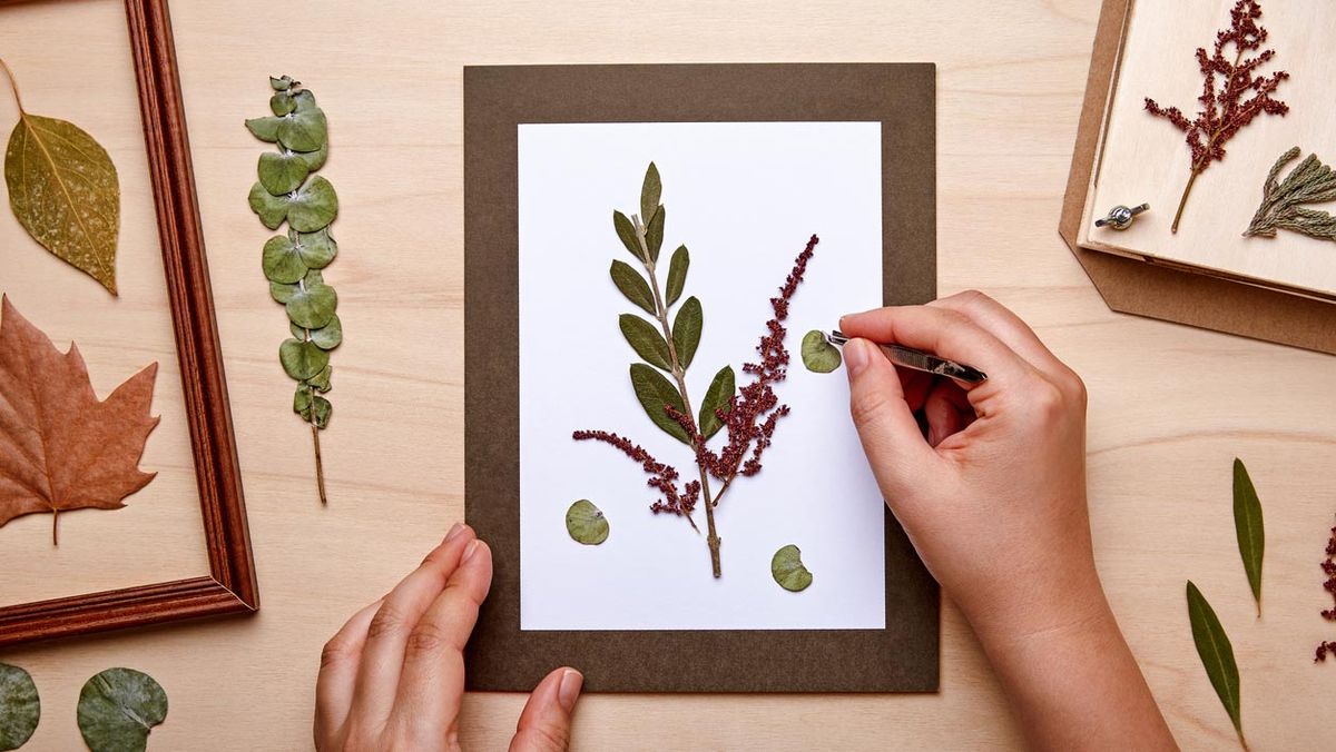 manualidades flores secas cuadros