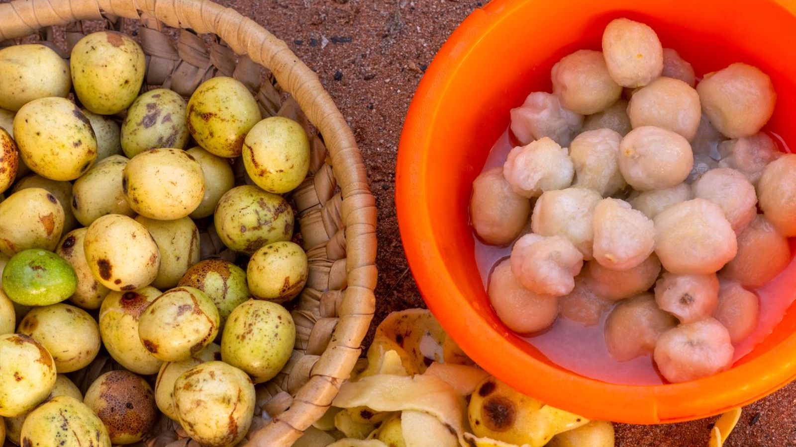 Marula Marula
