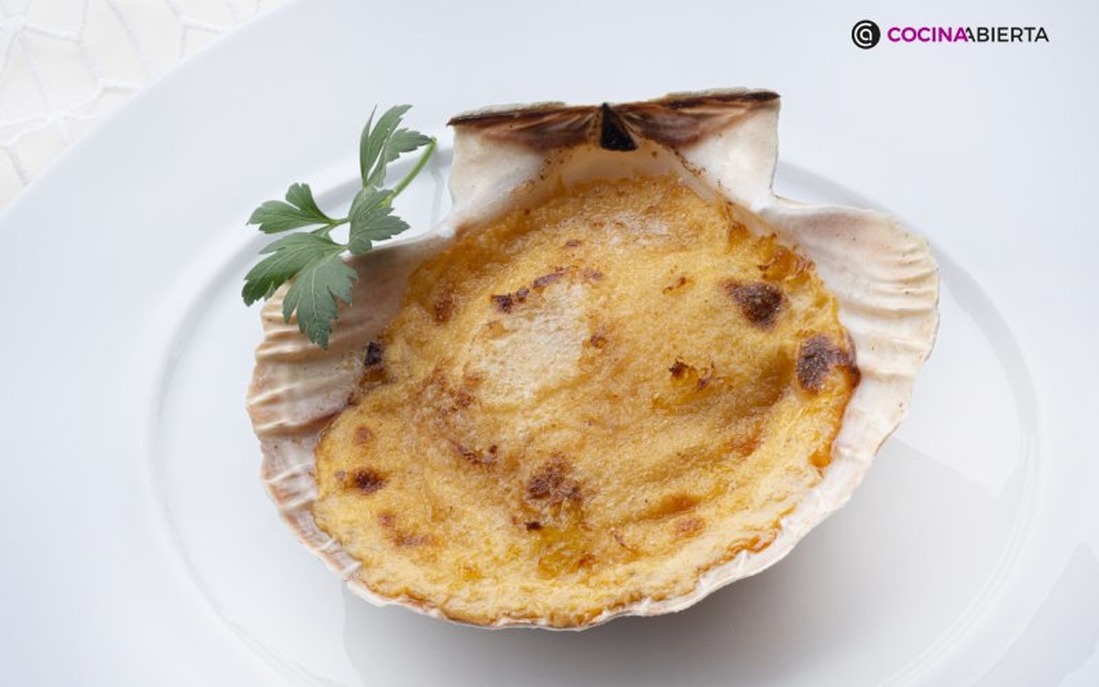 Las vieiras en su concha son el plato marinero español mejor valorado Las vieiras en su concha son el plato marinero español mejor valorado
