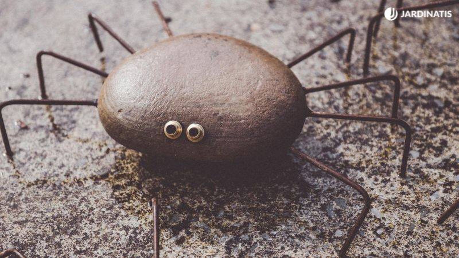 Araña de piedra Araña de piedra