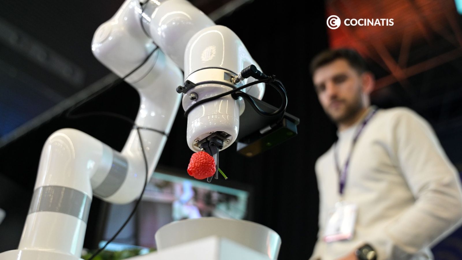 robot recolector de fresas eurecat