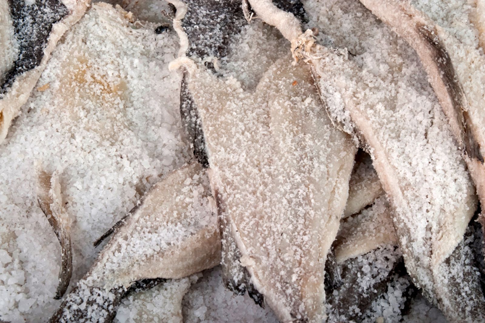desalar bacalao