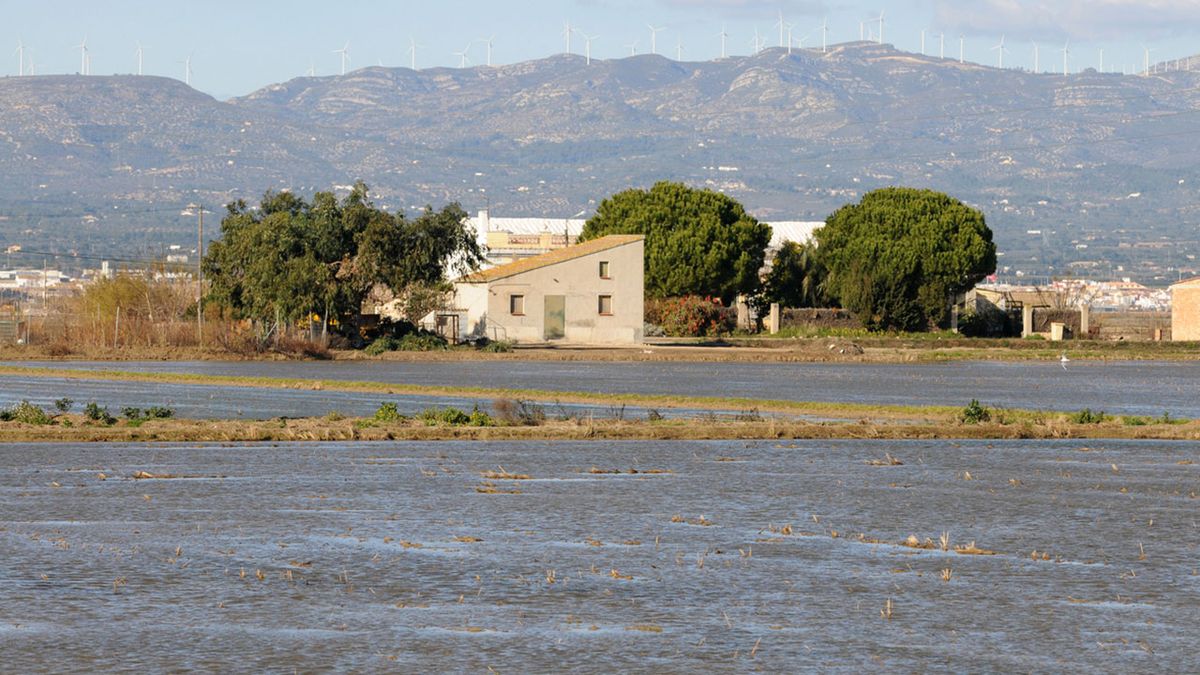 zonas cultivo arroz espana delta del ebro