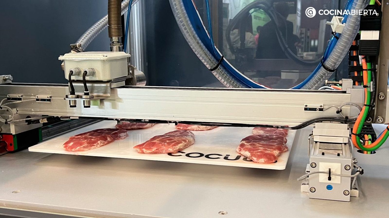 carne impresa coucuus