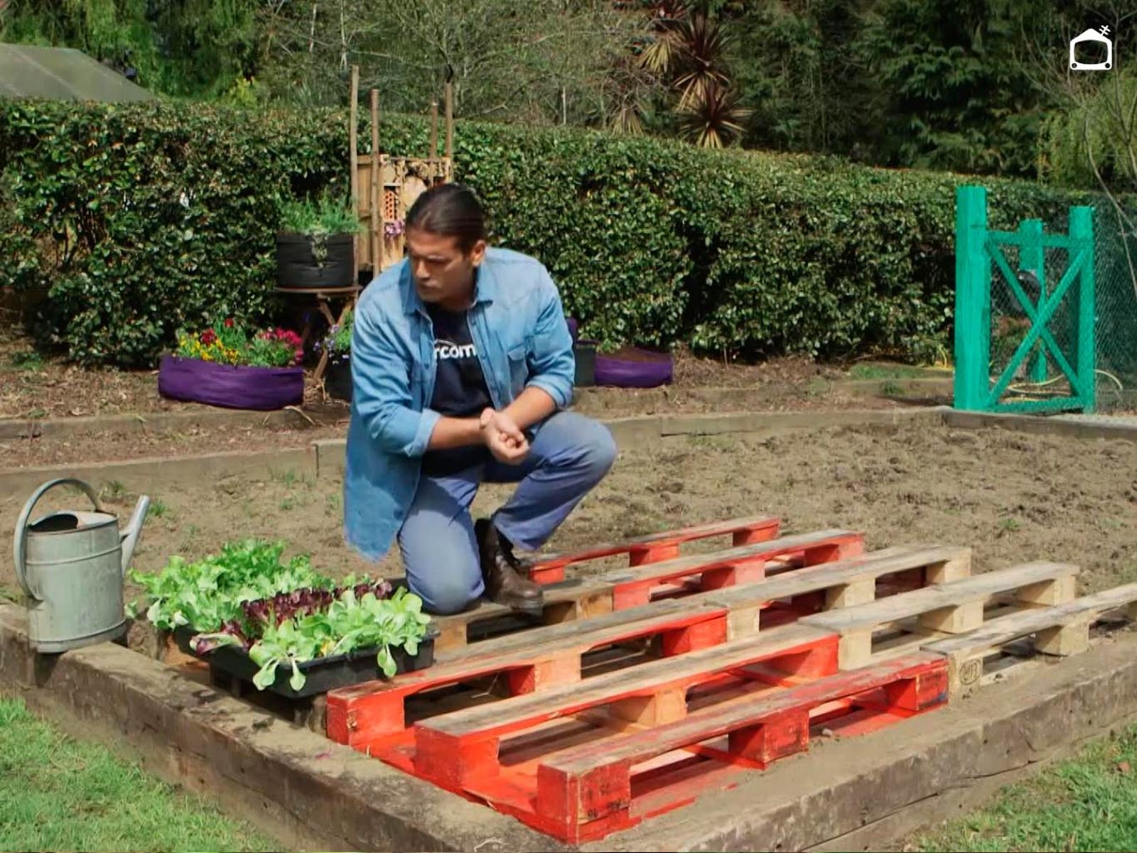 Iñigo Segurola plantando lechugas en palets en la huerta de Karlos Arguiñano. Iñigo Segurola plantando lechugas en palets en la huerta de Karlos Arguiñano.