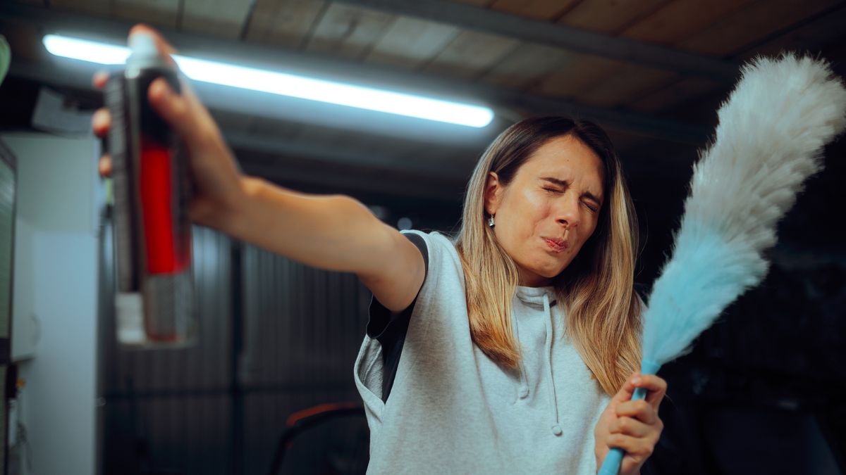 Las arañas entran por ventanas mal cerradas o rendijas invisibles