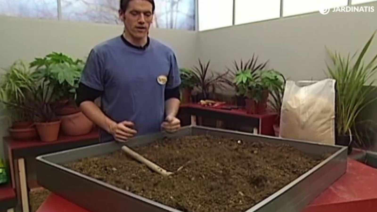 Vamos a trabajar sobre un metro cuadrado. Vamos a trabajar sobre un metro cuadrado.