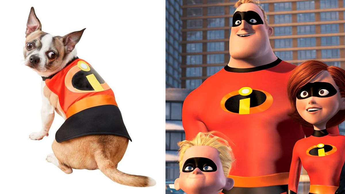 disfraces disney mascotas 13