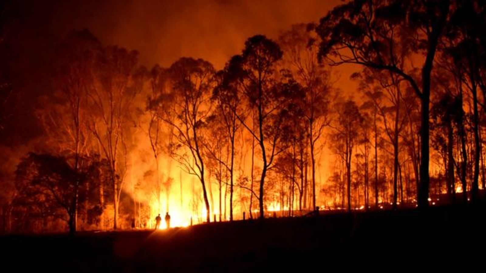 deforestacion causas cambio climatico