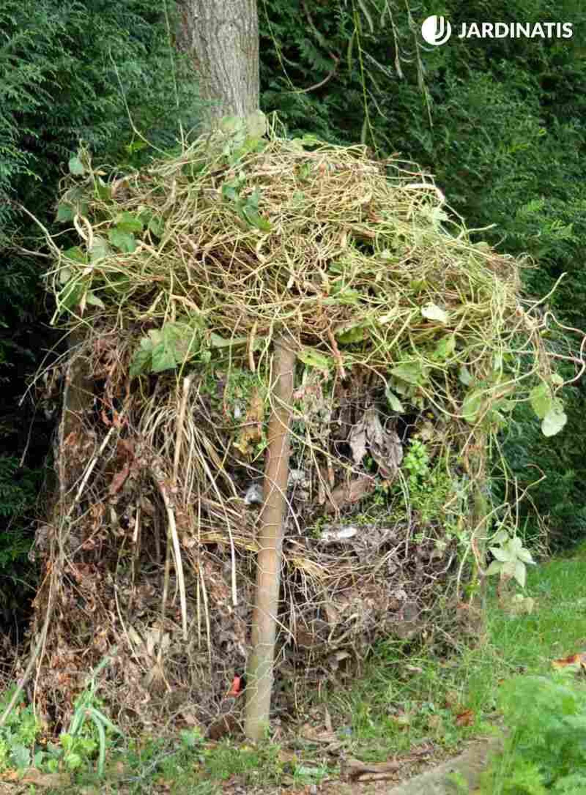 Recicla los restos vegetales en la compostera