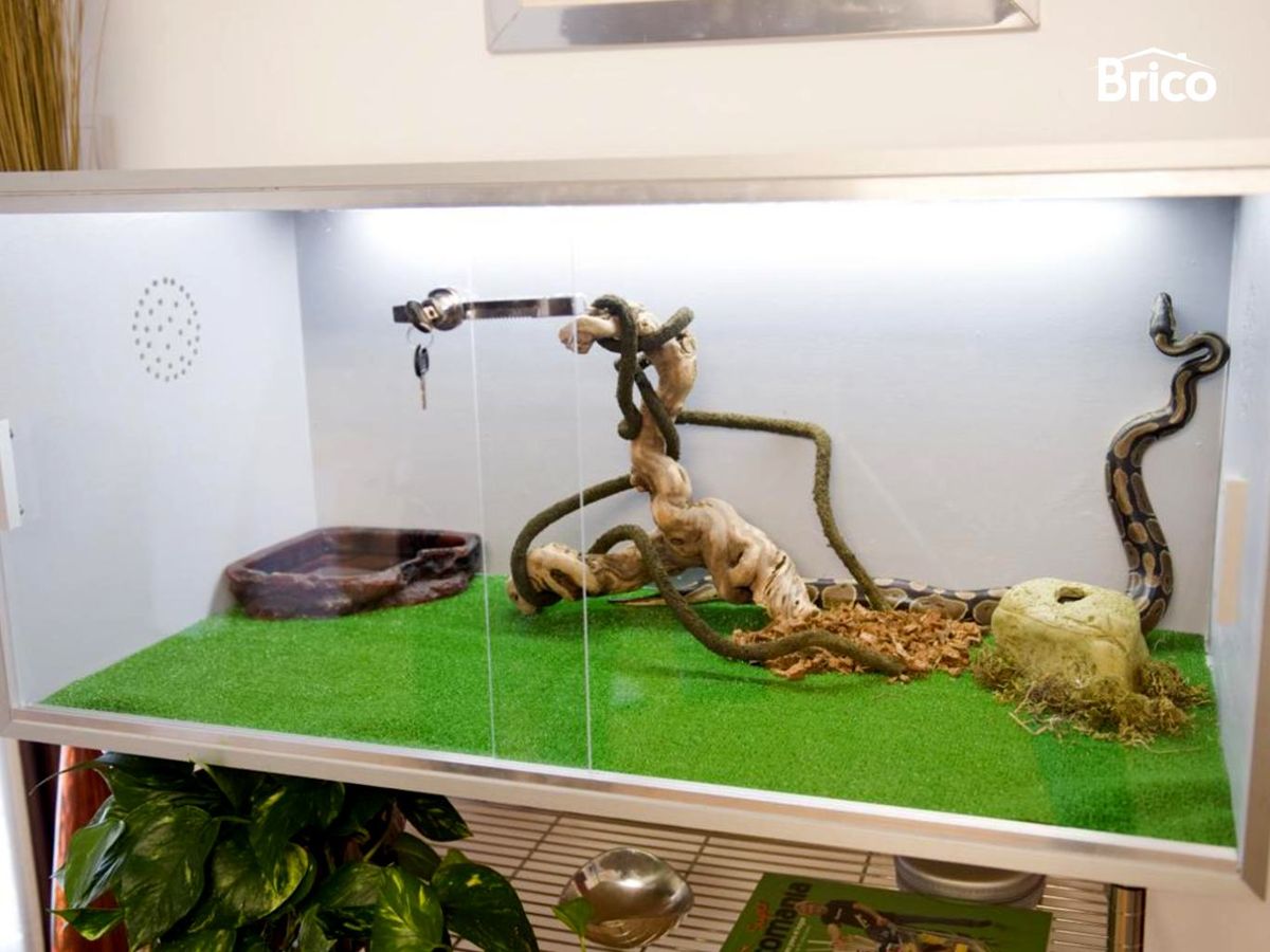 Terrario casero para reptiles