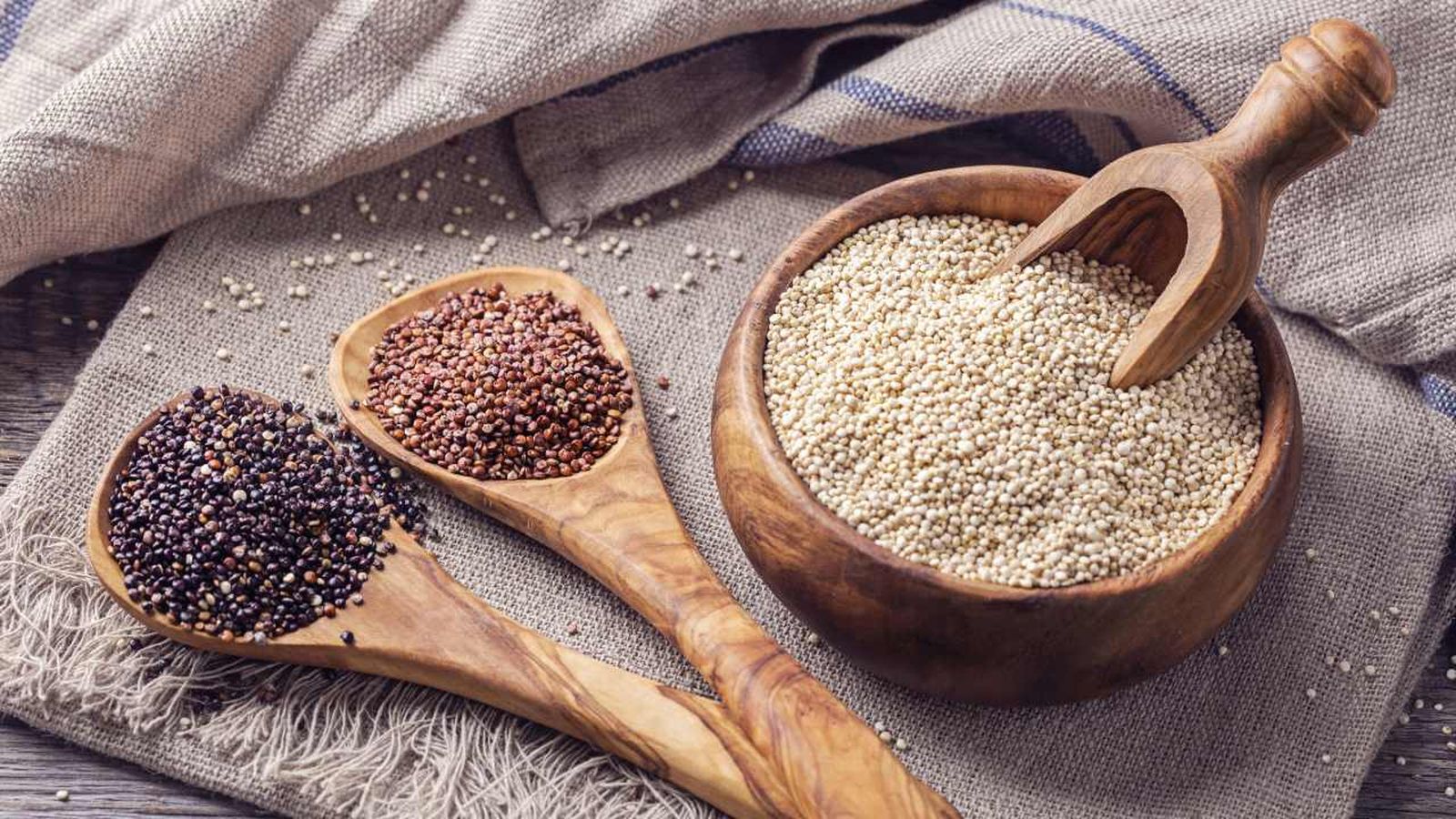 quinoa semillas