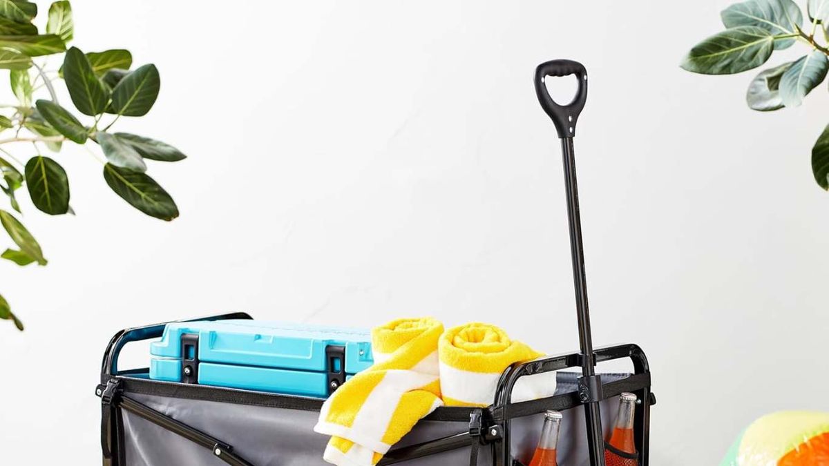 Carro plegable de Amazon Basics