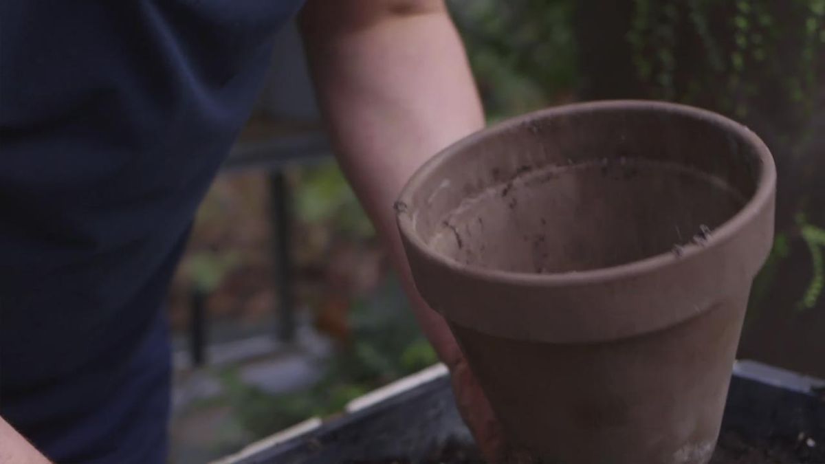 brico 1019 jardin rellenar tiesto con sustrato de cactus