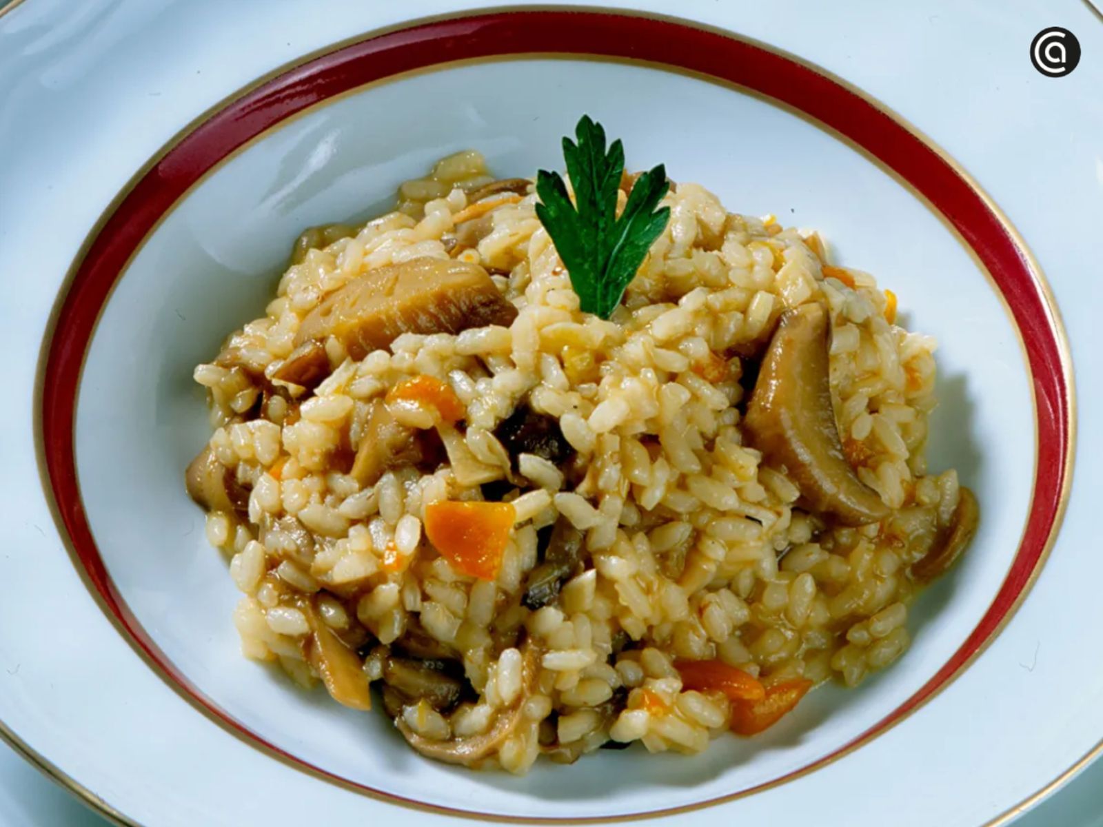 Risotto de setas, cremoso y con un sabor profundo a bosque.