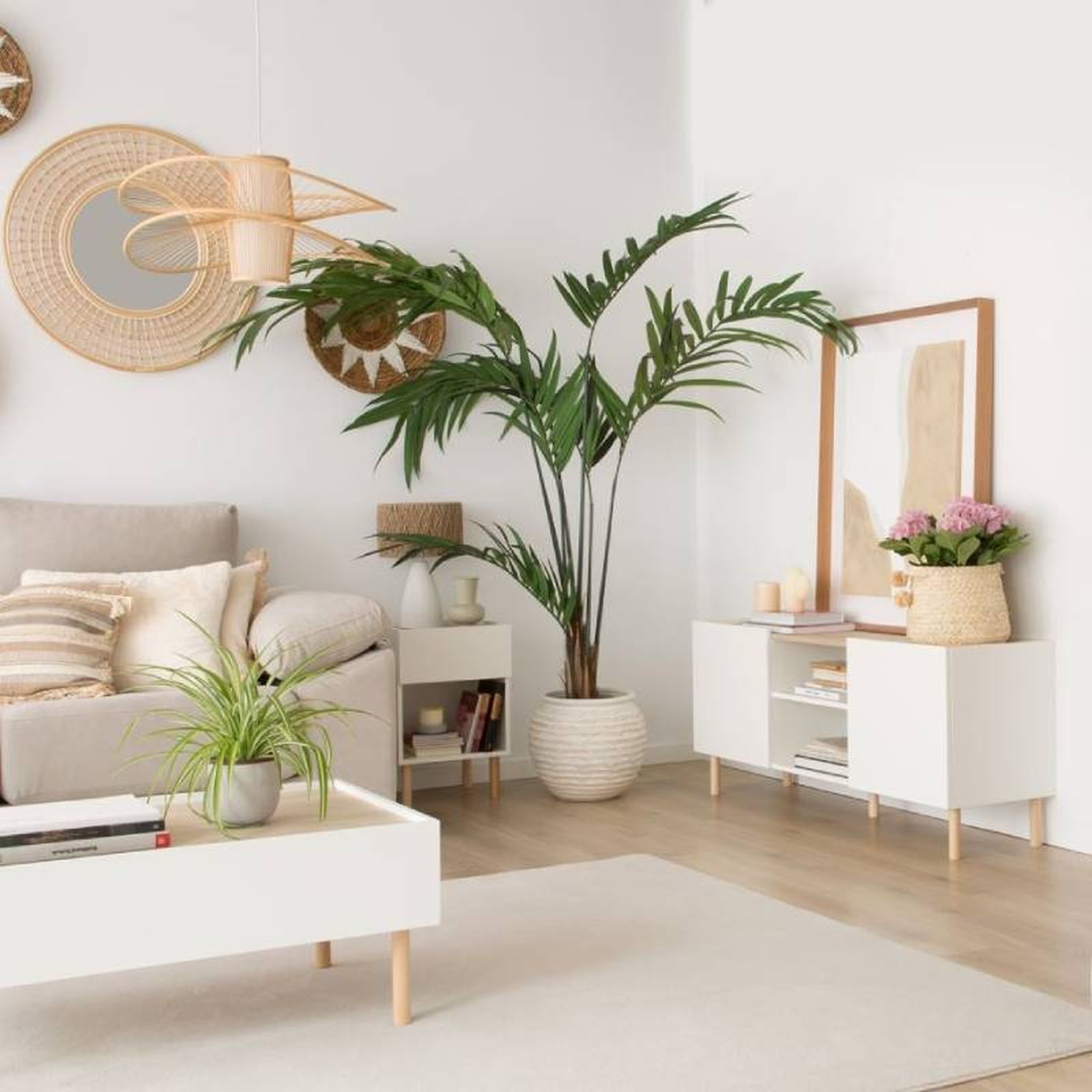 Salón decorado con plantas de interior. Salón decorado con plantas de interior.