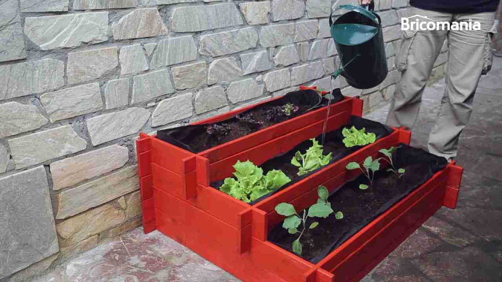 Mesa de cultivo
