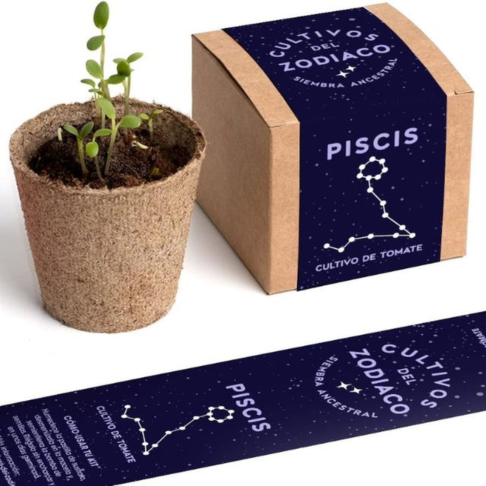 kit autocultivo piscis resetea kit autocultivo piscis resetea