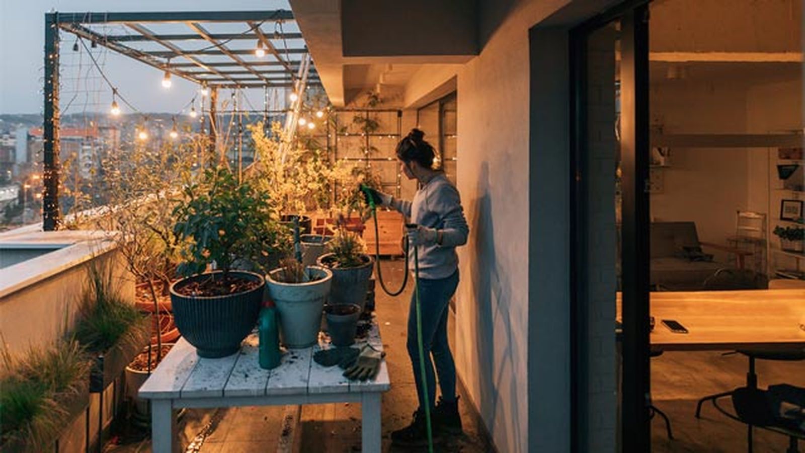No olvides regar tus plantas y el suelo para refrescar el ambiente más seco. No olvides regar tus plantas y el suelo para refrescar el ambiente más seco.