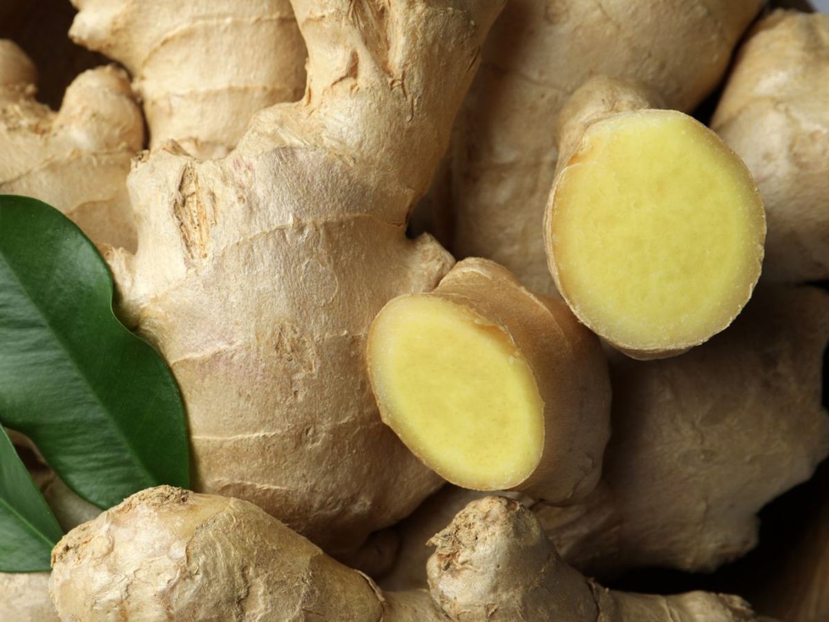 El jengibre es un energizante y antiinflamatorio natural para digestión y dolores.