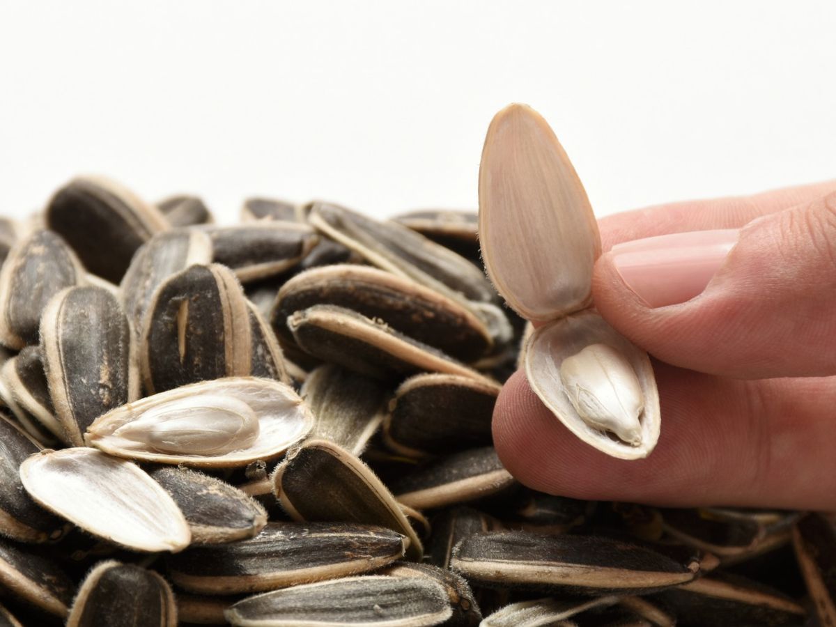 Vitamina E, grasas insaturadas y minerales en un alimento que solemos comer casi sin contar